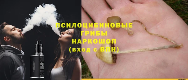 ALPHA PVP Дмитриев