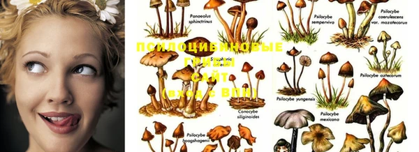 MDMA Дмитровск