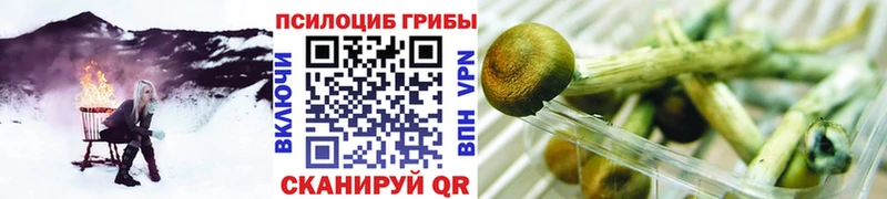 Псилоцибиновые грибы ЛСД  Коломна 